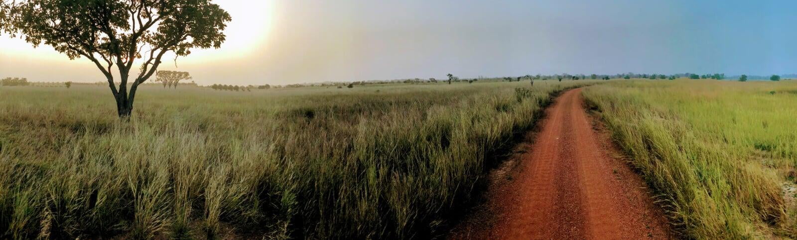 L'appel de la savane....