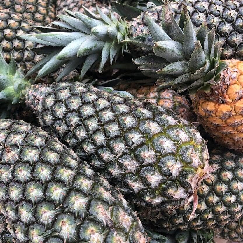 Ananas pain de sucre du Benin